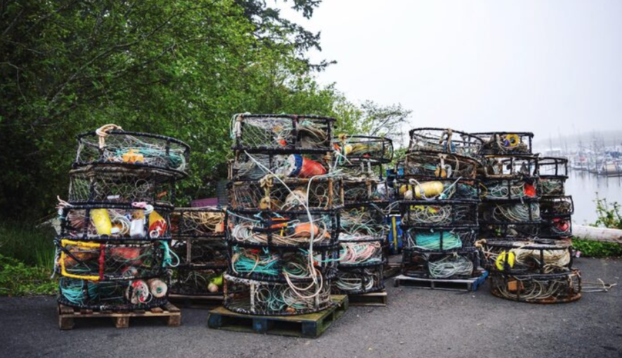 Bulk junk removal of old fishing traps and marine equipment