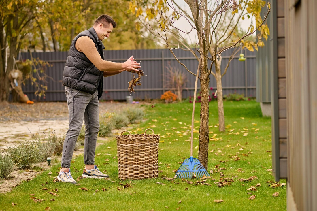 Outdoor yard cleaning tips